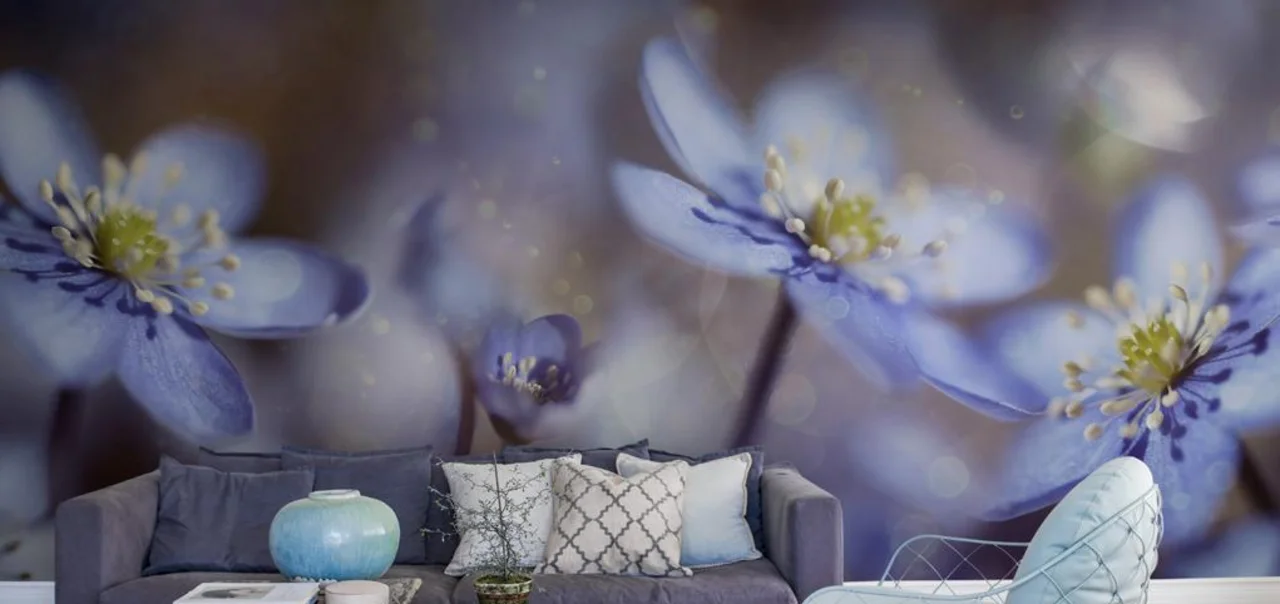 C170121 - Dörflinger & Nickow C170121-12 Fototapete mit großen Blüten im Wohnzimmer